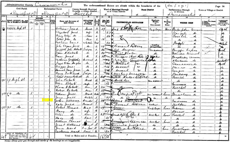 Gethin Williams 1901 census returns