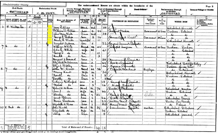 Jane Gillies 1901 census returns