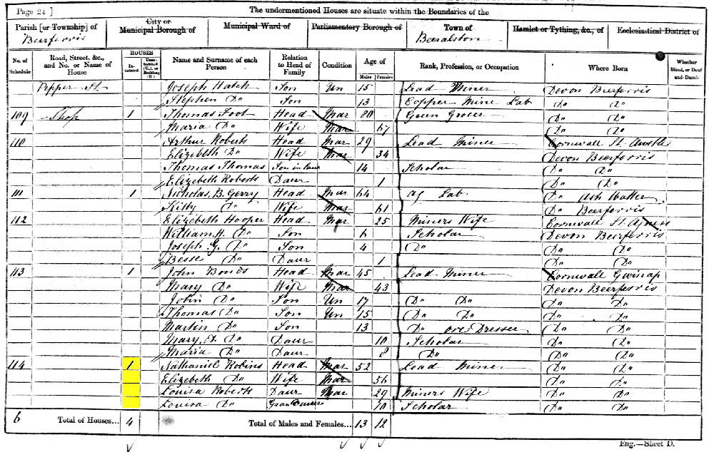 Louisa Roberts 1861 census returns
