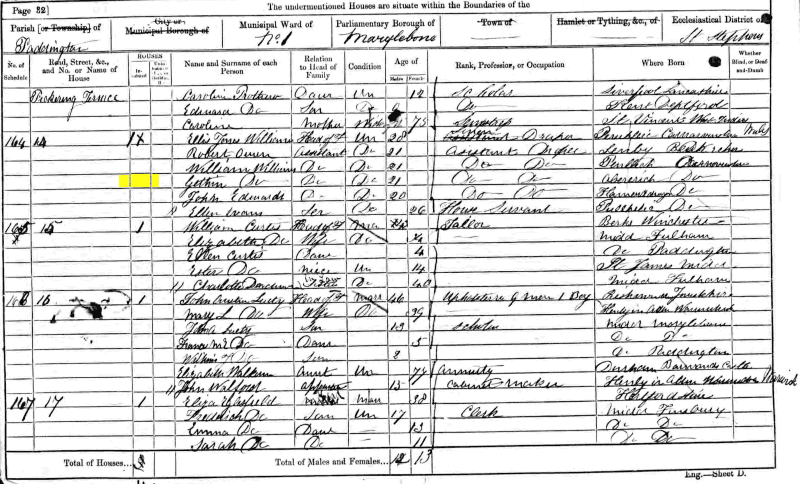 Gethin Williams 1861 census returns