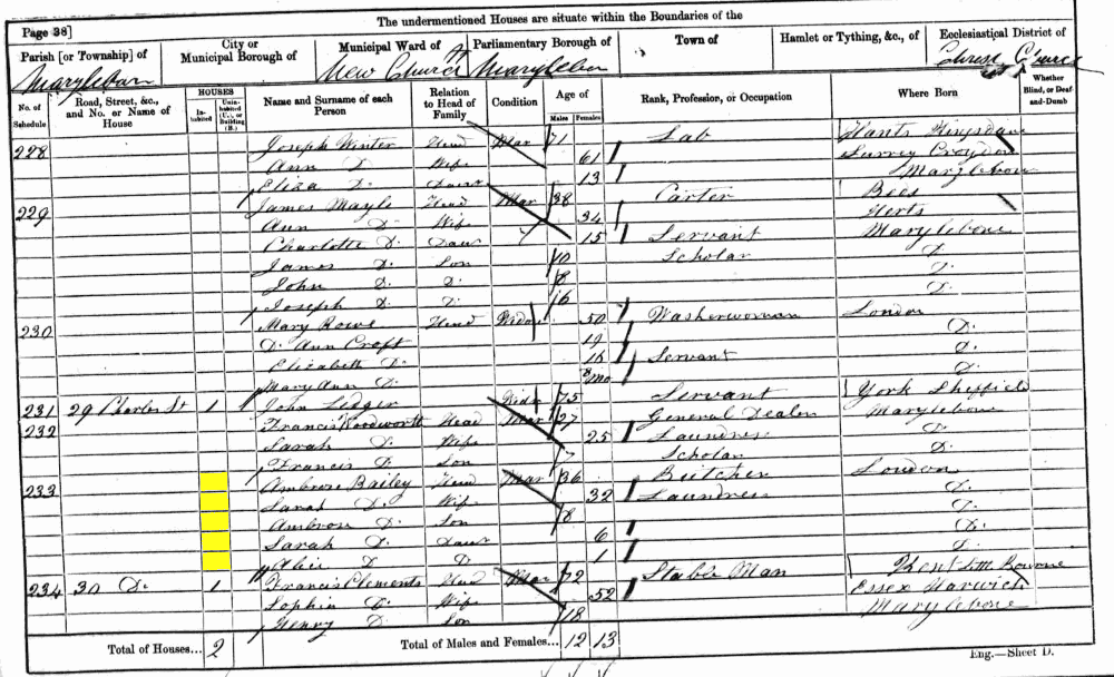 Sarah Bailey 1861 census returns