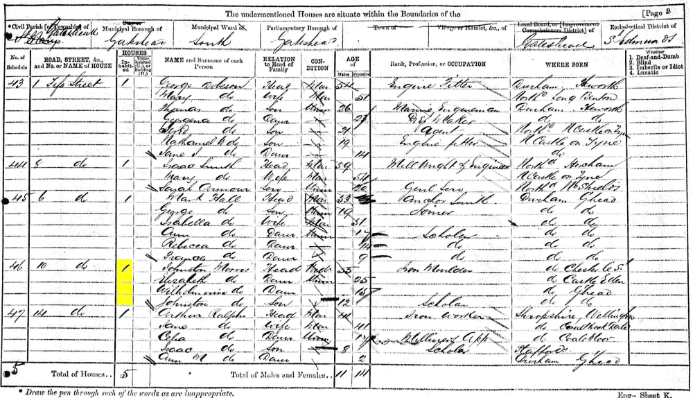 Johnson Morriss and Wilhelmina Morriss 1871 census returns