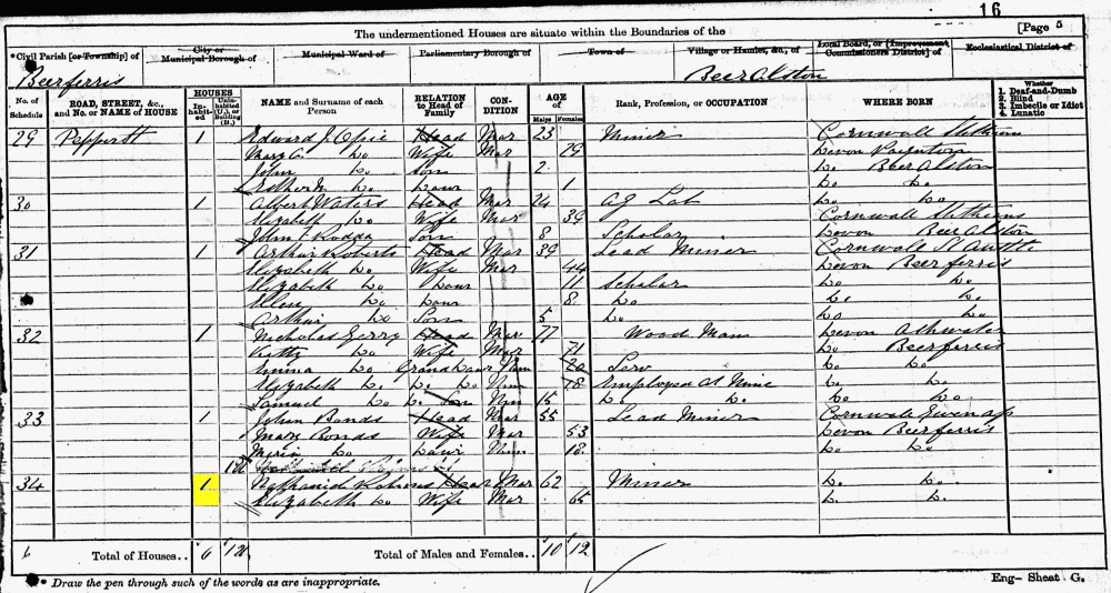 Nathaniel Robins 1871 census returns