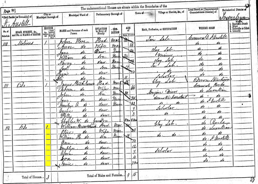 William and Alice Beswetherick 1871 census returns