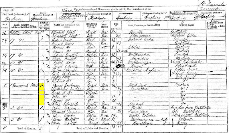 James Goodman 1871 census returns