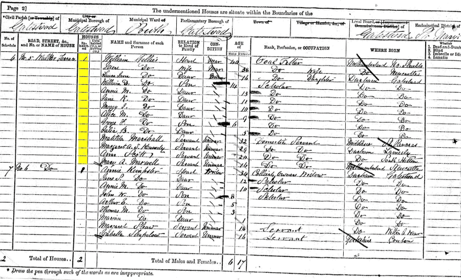 William and Jane Gillies 1871 census returns