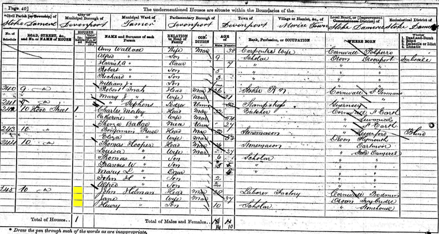 John and Jane Holman 1871 census returns