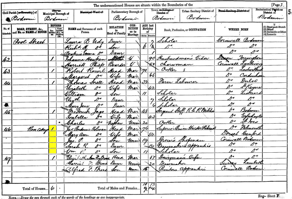 James Pendennis Holman 1881 census returns