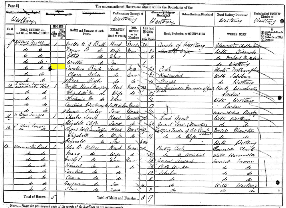 Caroline Bird 1881 census returns