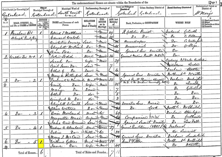 William and Jane Gillies 1881 census returns