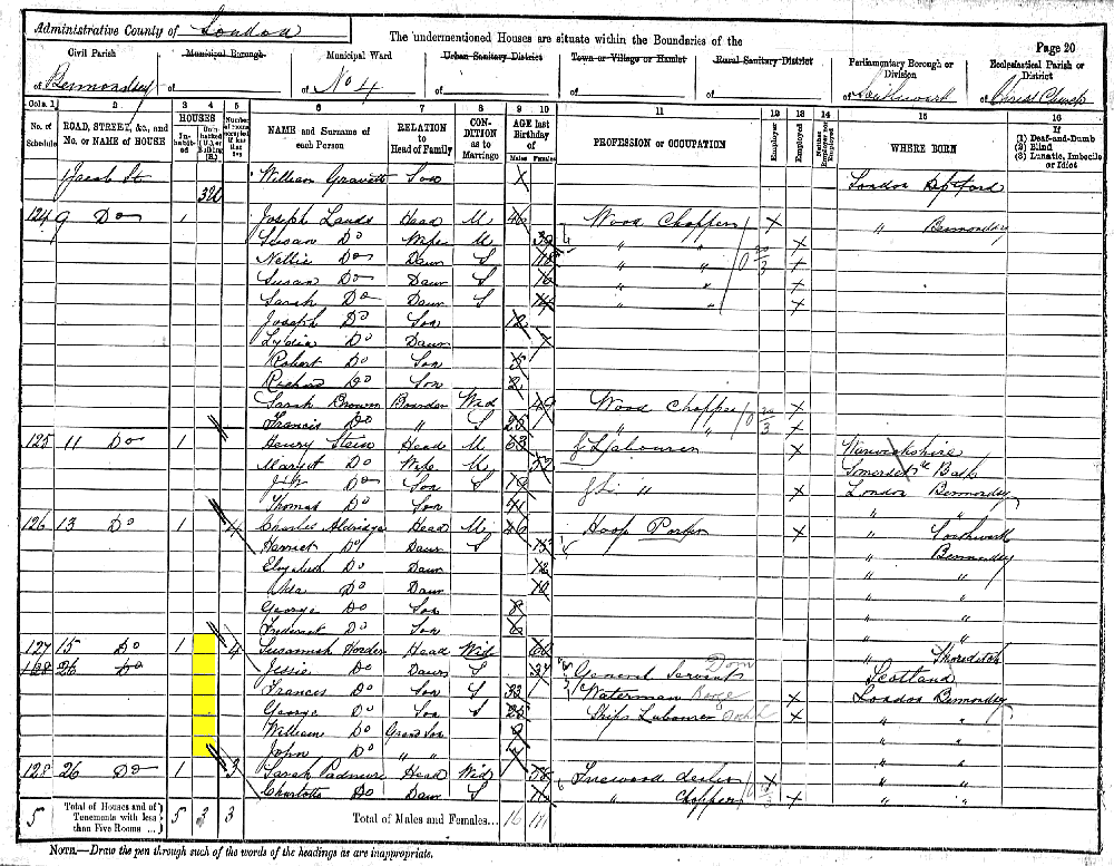 John Horder (grandson) 1891 census returns