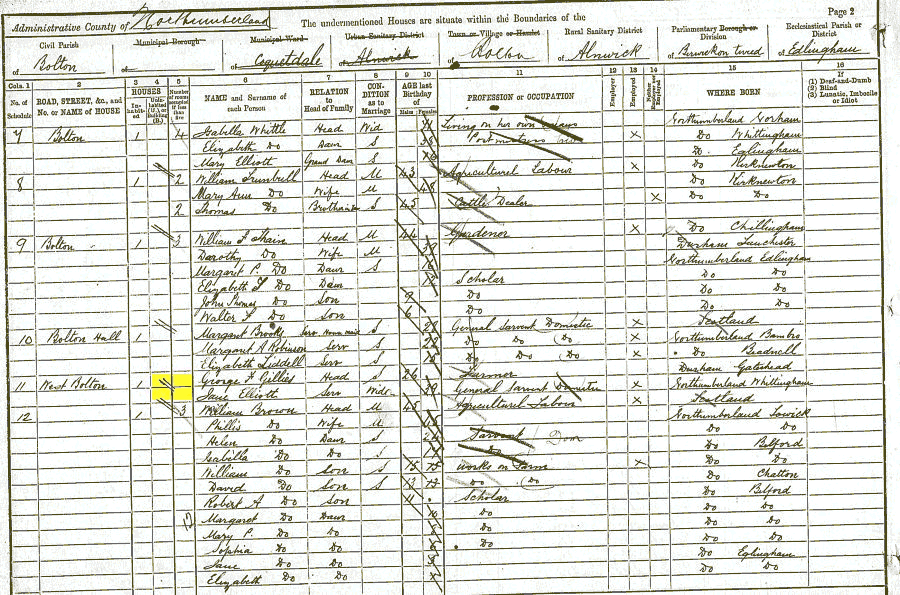 George F Gillies 1891 census returns