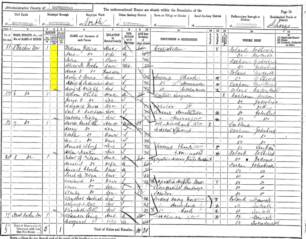 William and Jane Gillies 1891 census returns