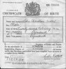 John Christian Olsen - Birth Certificate