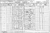 William Rhead 1901 census returns