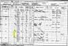 Rubin and Rebecca Chirurg 1901 census returns