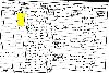 Alfred and Emma Newlyn and family 1901 census returns