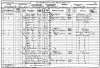 Ann and Robert Brown 1901 census returns