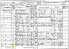 William and Jane Gillies 1881 census returns