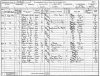 1891 census returns Caroline V penney