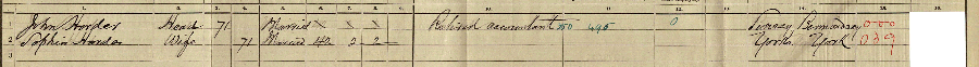 1911 census returns for John Trod and Sophia Horder