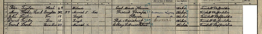 1911 census returns for Peter Taylor and family