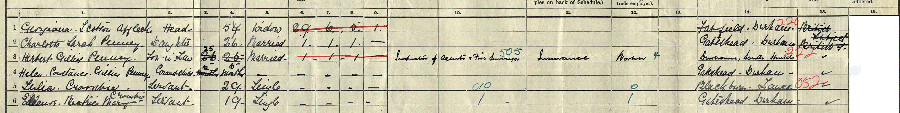 1911 census returns for Geaorgiana Scotson Affleck and family