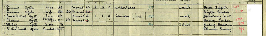 1911 census returns for Richard and Lavinia Agate