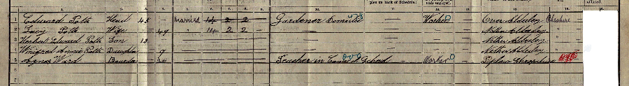 1911 census returns for Lucy