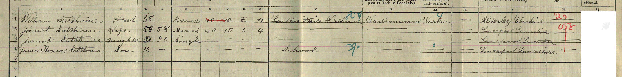 1911 census returns for William and Janet Salthouse and family