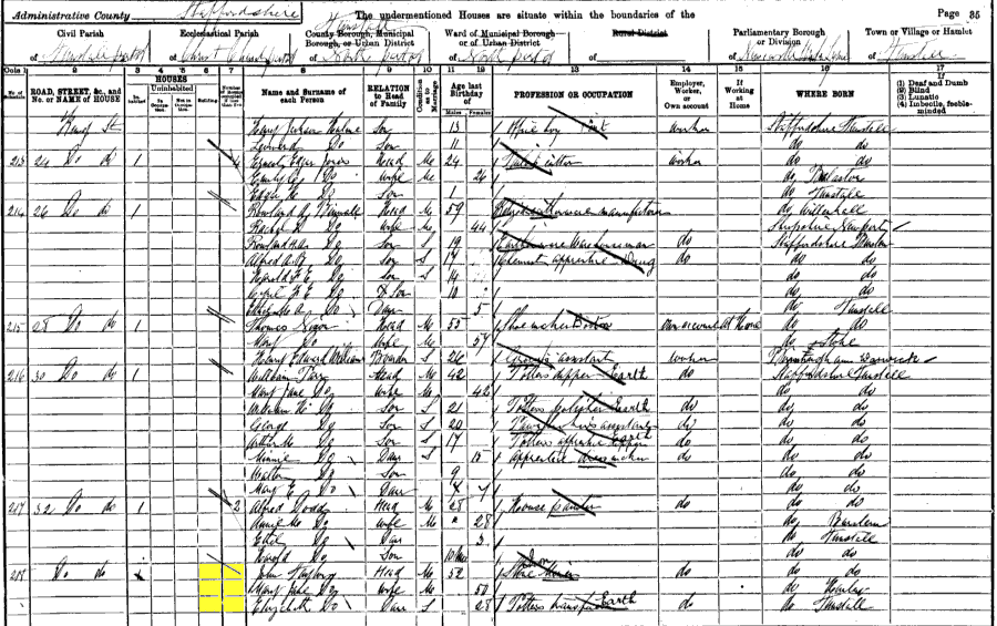 1901 census returns for John and Mary Jane Taylor and family