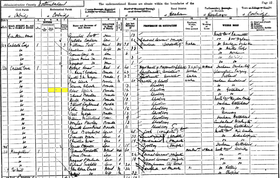 1901 census returns for Robert Affleck