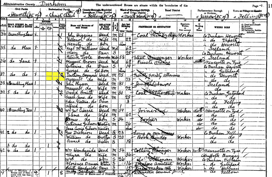 1901 census returns for Anthony and Margaret Seymour and family