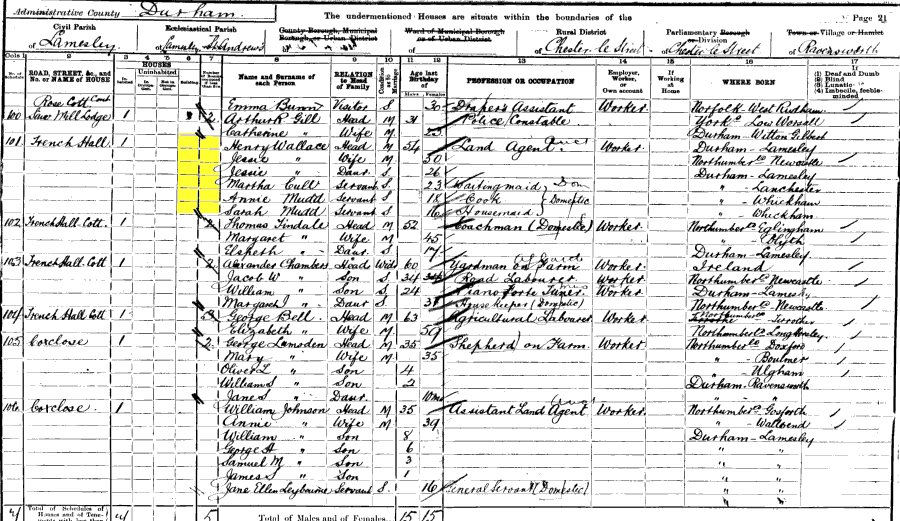 1901 census returns for Henry and Jessie Wallace and family
