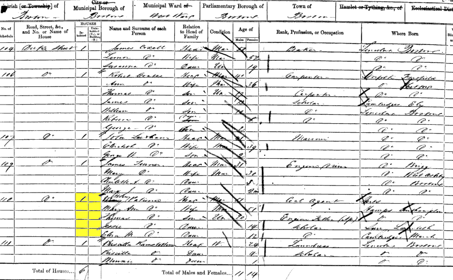 1861 census returns for Henry and Mary Ann Patience and family