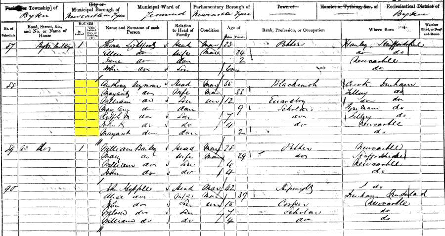 1861 census returns for Anthony and Margaret Seymour and family