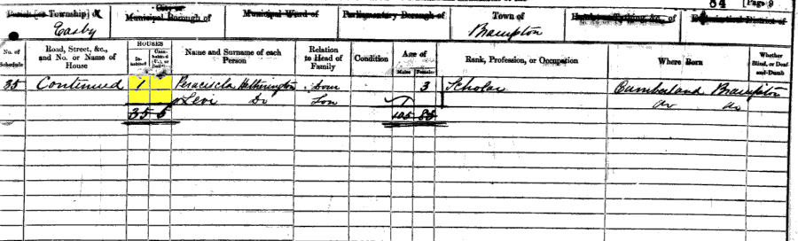 1861 census returns for family of William and Alice Hetherington