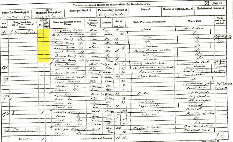 1861 census returns for David and Rachel Nunez Nabarro and family