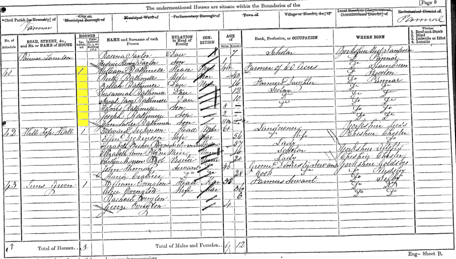 1871 census returns for William and Ruth Rathmell and family