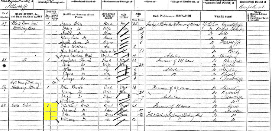 1871 census returns for Matthew Hall and family