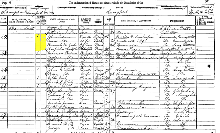 1871 census returns for John and Ann Turner and family