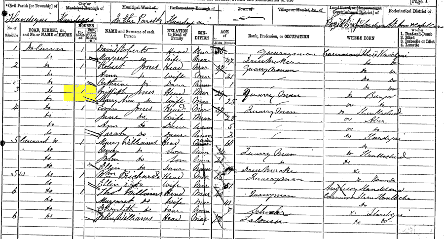 1871 census returns for Griffith and Mary Ann Jones and family