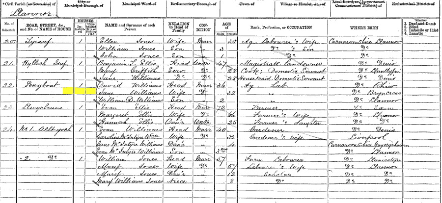 1871 census returns for Jane Amelia Williams