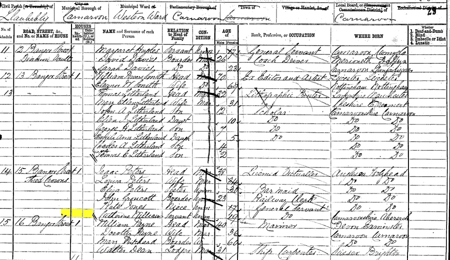 1871 census returns for Catherine Williams
