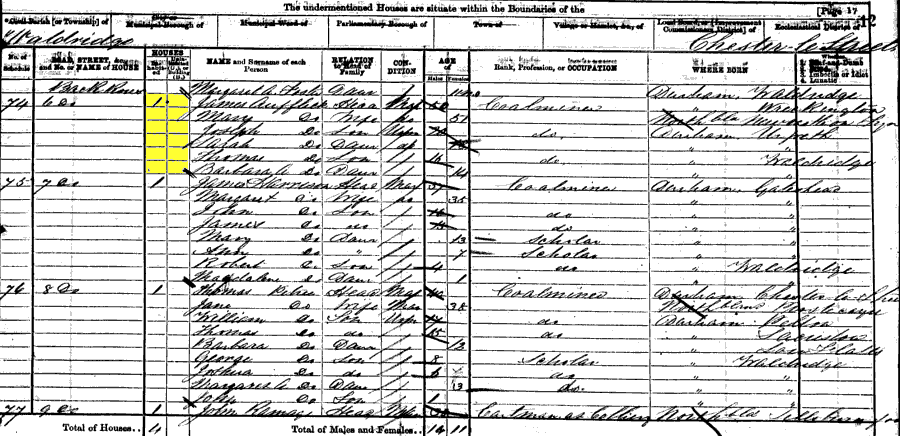 1871 census returns for James and Mary Afflick and family