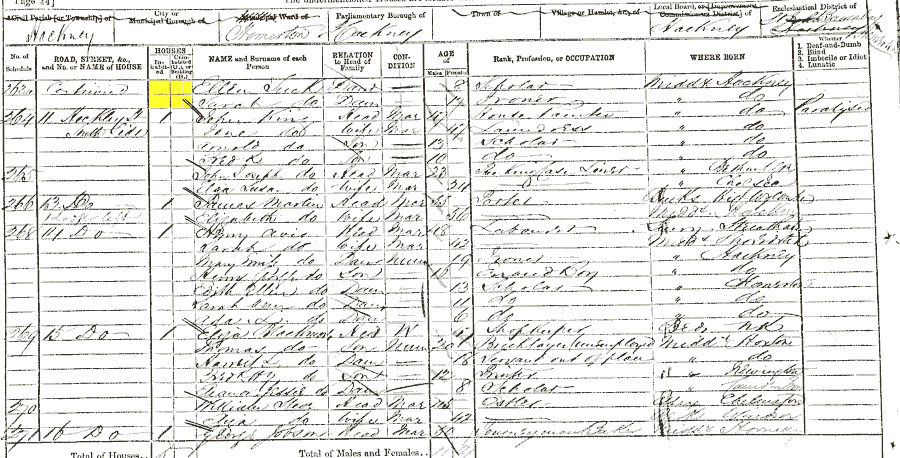 1871 census returns for Sarah Tuck