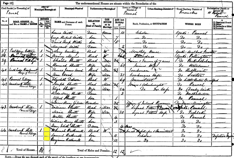 1881 census returns for Hannah Rathmell and family