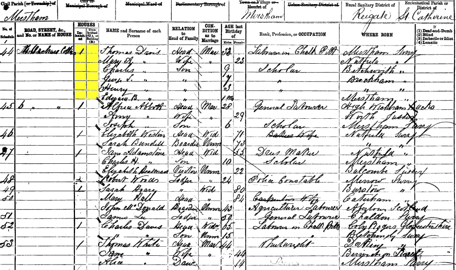1881 census returns for Thomas and Mary Ann Davis and family