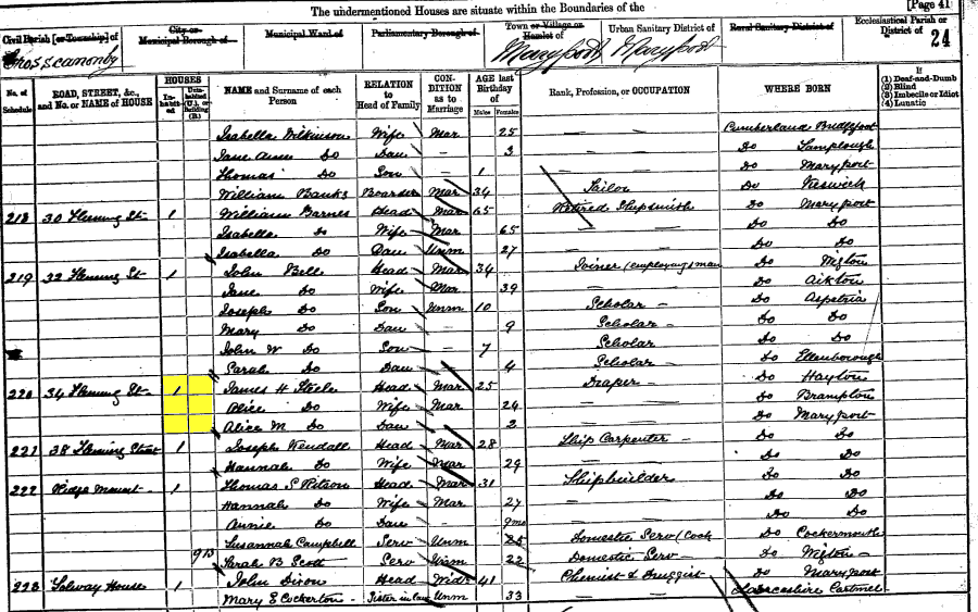 1881 census returns for James Henry and Alice Steele and family