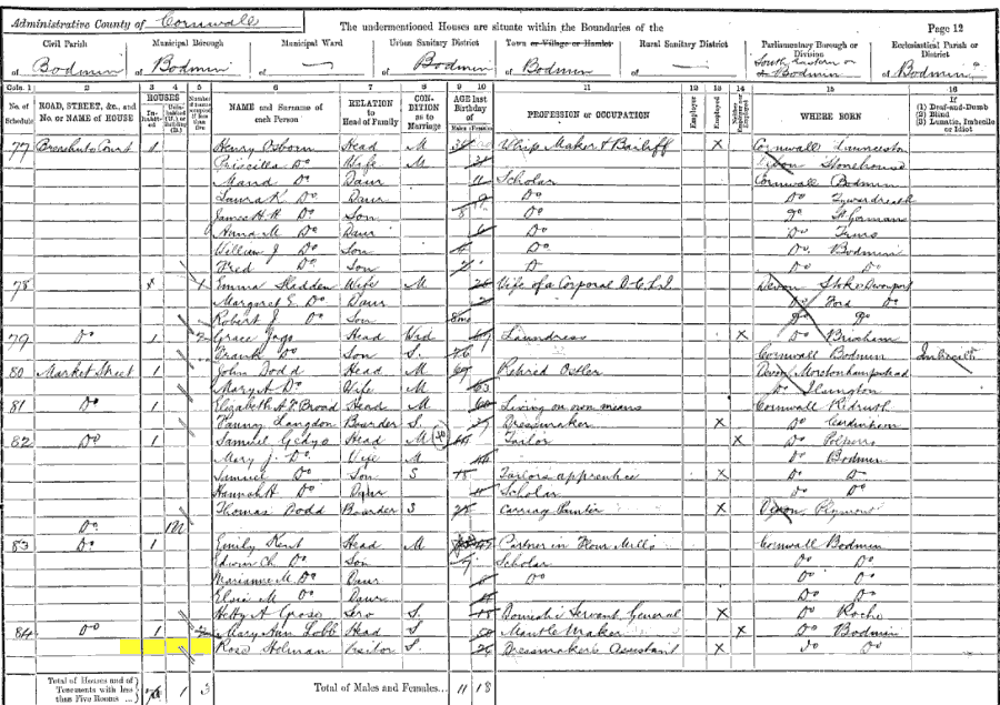 1891 census returns for Sarah Rose Holman